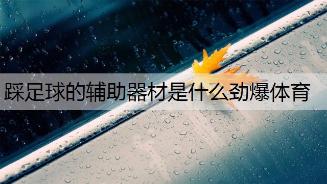 <strong>踩足球的辅助器材是什么劲爆体育</strong>