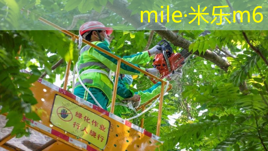 米乐m6官网：室内健身吊杆