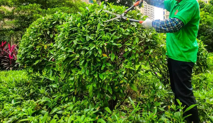 米乐：小孩晚上室内的健身餐