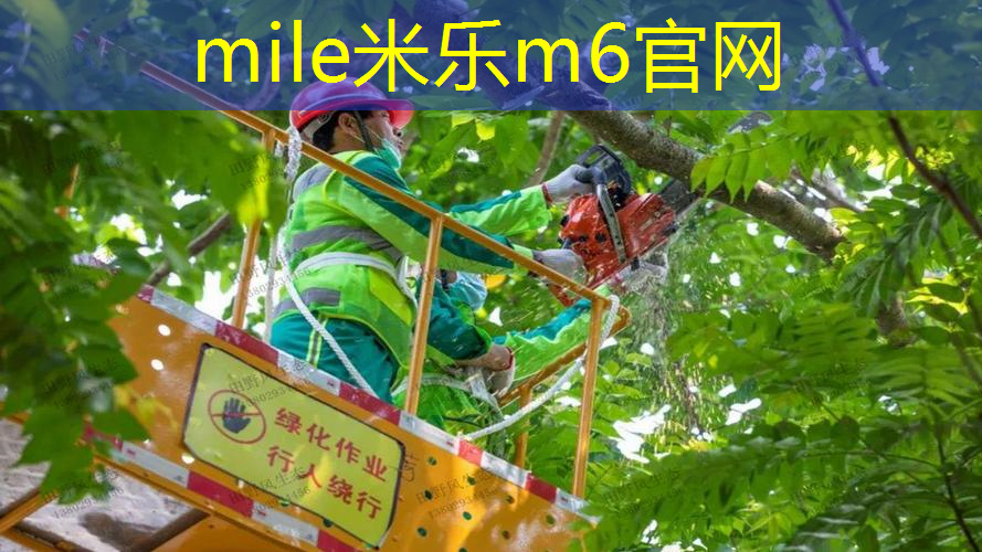 美狮龙网球拍好吗_