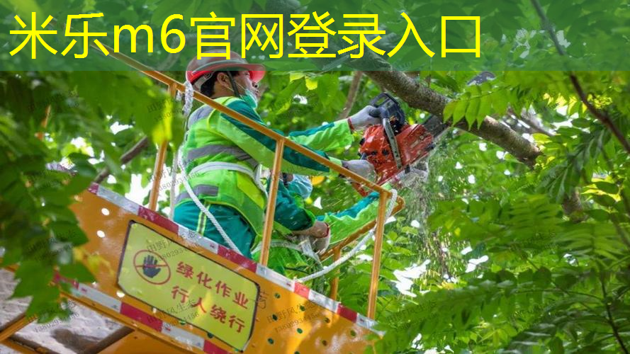 室内健身吊杆