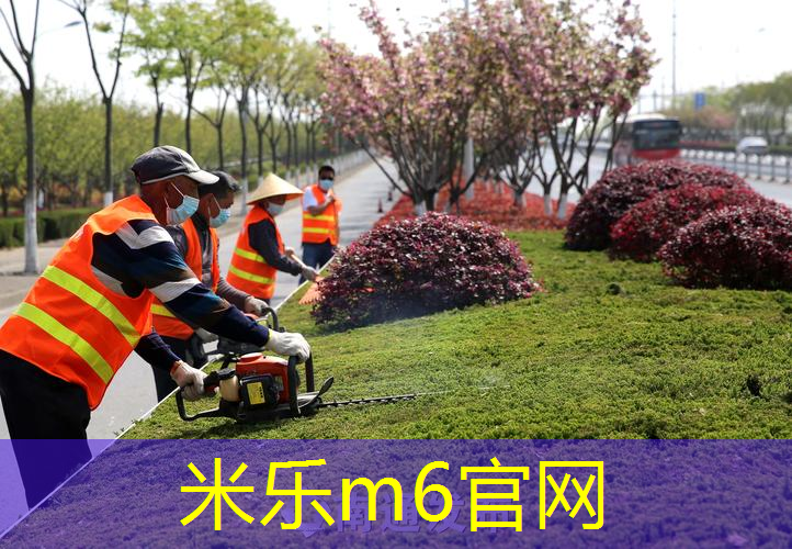 高品质篮球架推荐：为您的训练提供最佳支持
